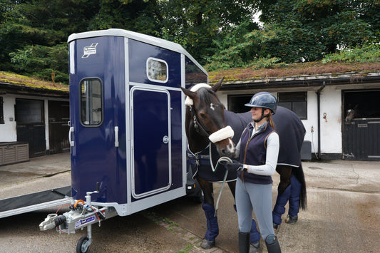 HB506 Double Horsebox