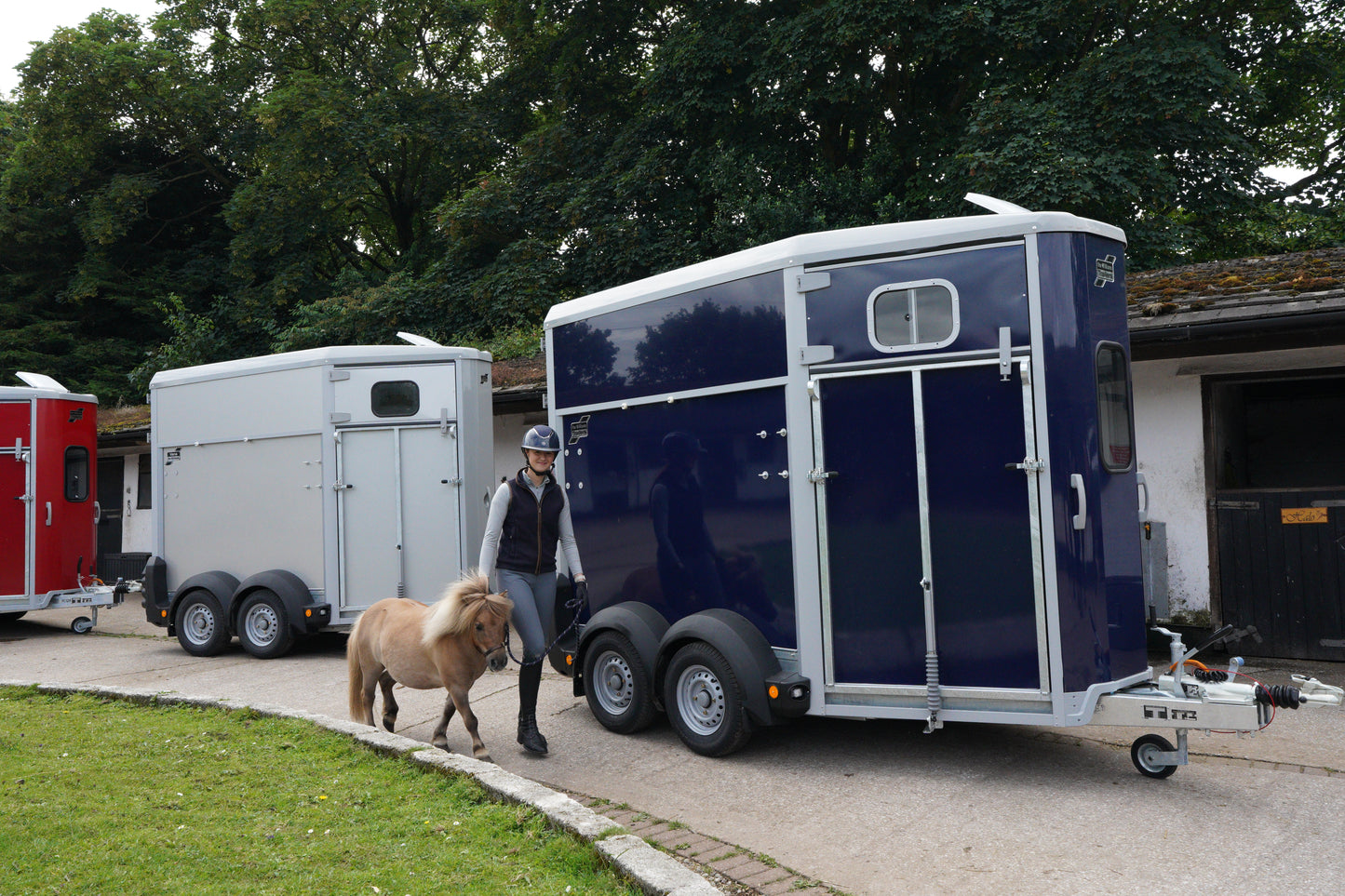 HB511 Double Horsebox